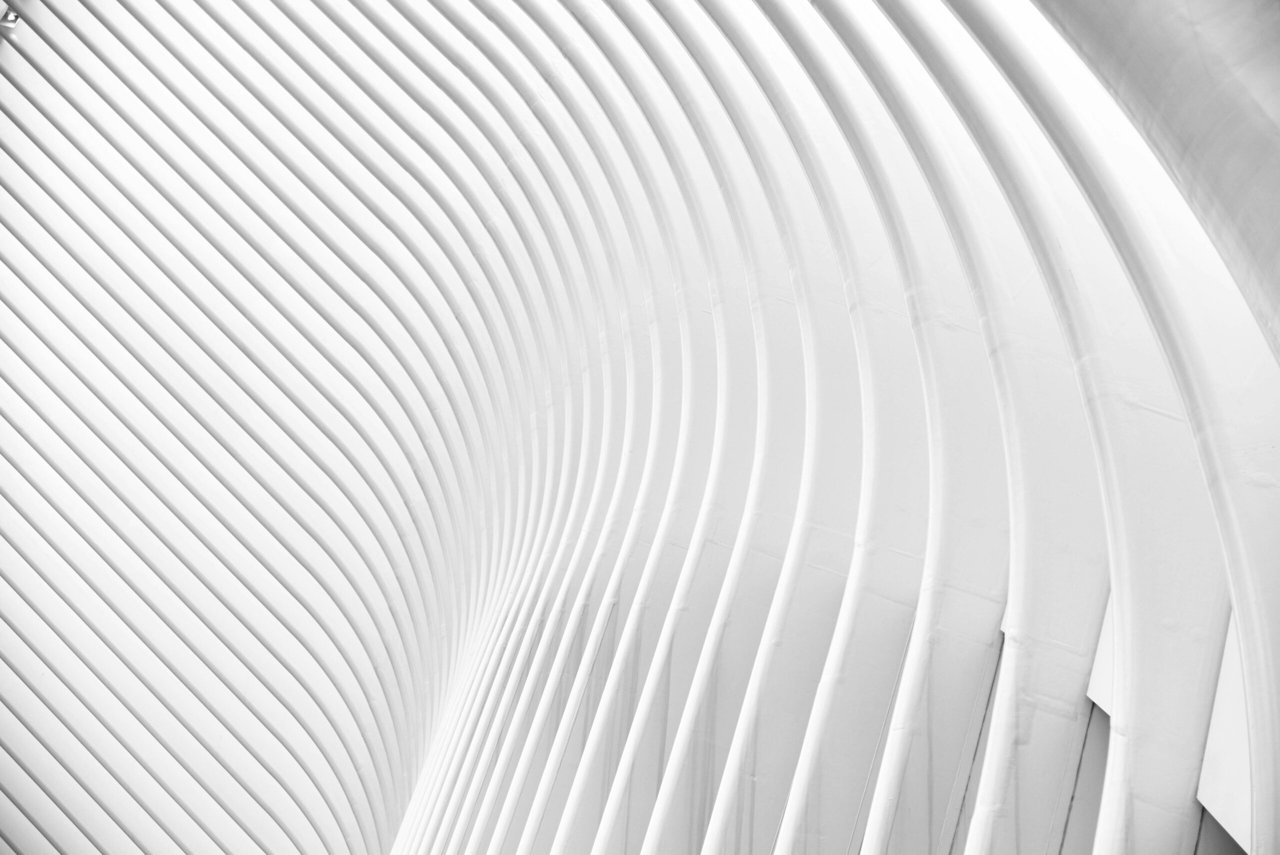 Black and white abstract architectural photo with modern minimalist curved lines in New York.